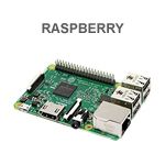 RASPBERRY