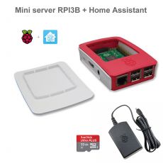 Mini server RPI3B + Home Assistant