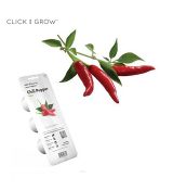 Smart Garden Chili papričky