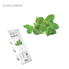 Smart Garden Oregano